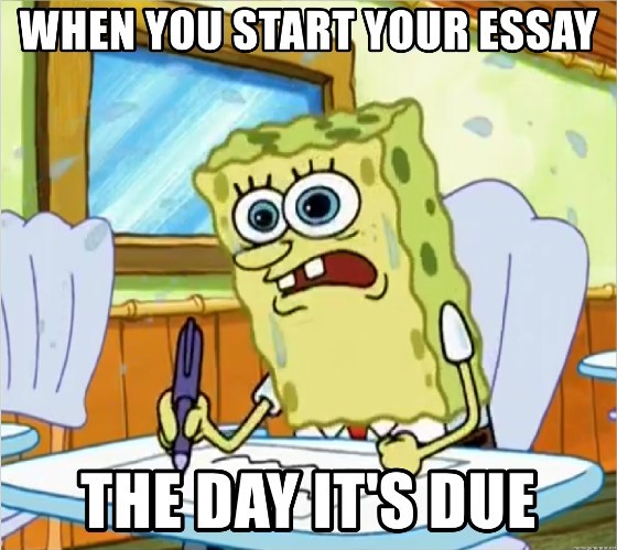 You have a paper due. When do you write it?